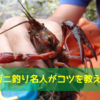 ザリガニ釣り名人