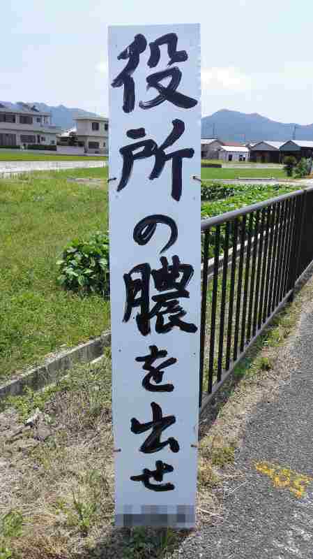 IMG_20160722_114703