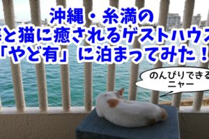 【沖縄・糸満】海と猫に癒されるゲストハウス「やど有」に泊まってきた！