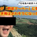 【石垣島絶景スポット】オッサンが野底マーペーに登ってみたら風で吹き飛ばされそうになった！